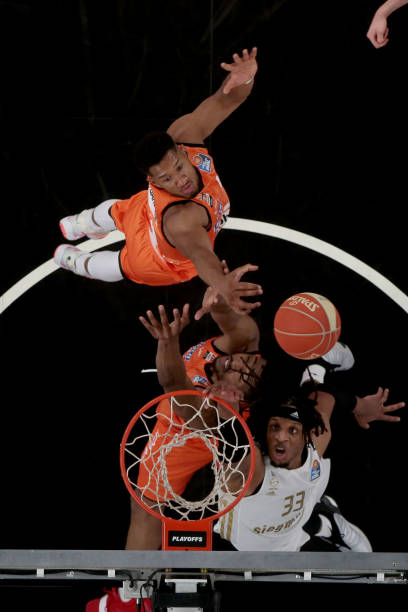 能够贡献稳 能够贡献稳